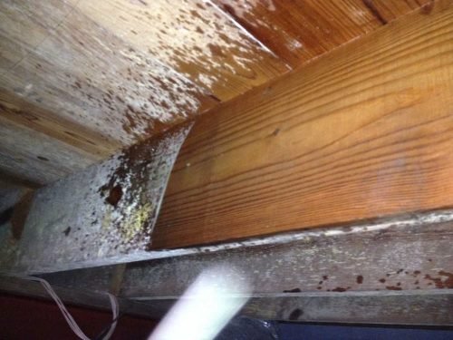 5 Steps to Handling Water in Your Crawl Space