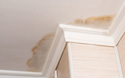 Top Signs of Water Damage